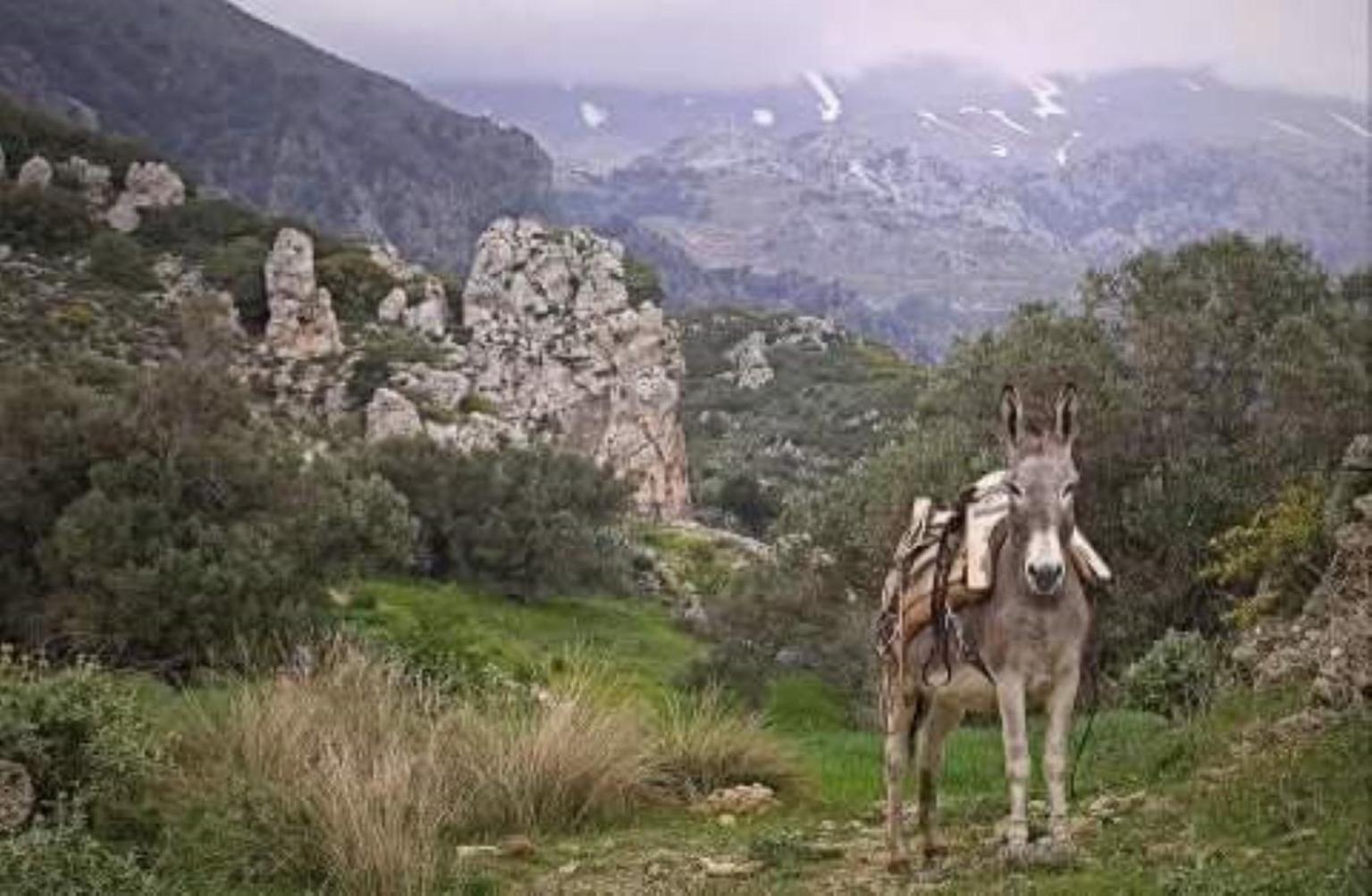Traditional Cretan House Lithostrati Karidi Village Экстерьер фото